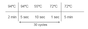 http://www.chromous.com/sites/default/files/pcr-1.png