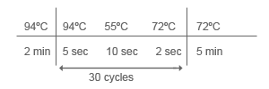 http://www.chromous.com/sites/default/files/pcr2.png